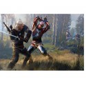 The Witcher 3 Wild Hunt jeux ps4